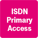 ISDN Primary Access